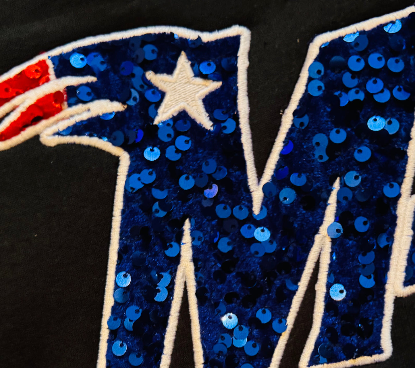 Flying MT Sequin Appliqué Embroidered Crew